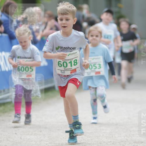 17.05.2025 - Störlauf H.Heesch http://msf.ph/oto/7895699 17.05.2025 13:17:22 Ziel 6005, 2025, 6018, 053 meine-sportfotos.de