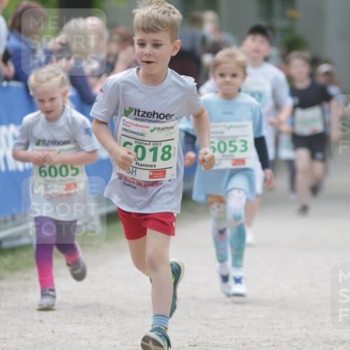 17.05.2025 - Störlauf H.Heesch http://msf.ph/oto/7895701 17.05.2025 13:17:22 Ziel 6005, 2025, 018, 5053 meine-sportfotos.de