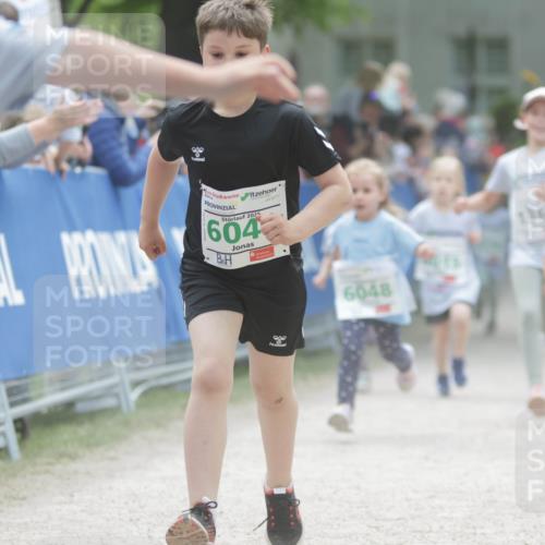 17.05.2025 - Störlauf H.Heesch http://msf.ph/oto/7895713 17.05.2025 13:17:26 Ziel 2025, 604, 6048, 1365, 6004 meine-sportfotos.de