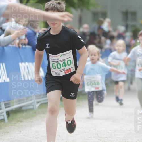 17.05.2025 - Störlauf H.Heesch http://msf.ph/oto/7895714 17.05.2025 13:17:26 Ziel 8, 2025, 6040, 8, 6048, 6004 meine-sportfotos.de