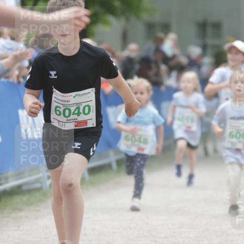 17.05.2025 - Störlauf H.Heesch http://msf.ph/oto/7895718 17.05.2025 13:17:26 Ziel 2025, 6040, 6004, 6048 meine-sportfotos.de