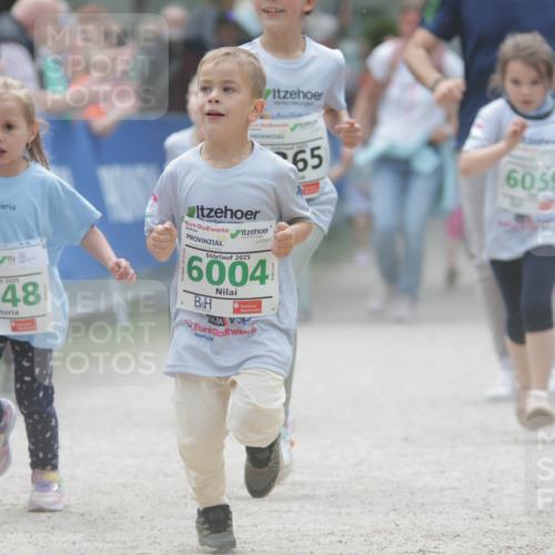 17.05.2025 - Störlauf H.Heesch http://msf.ph/oto/7895723 17.05.2025 13:17:28 Ziel 2025, 6048, 2025, 6004, 65, 6059 meine-sportfotos.de