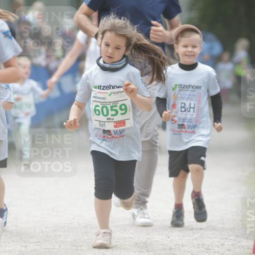 17.05.2025 - Störlauf H.Heesch http://msf.ph/oto/7895731 17.05.2025 13:17:29 Ziel 1365, 2025, 6059 meine-sportfotos.de