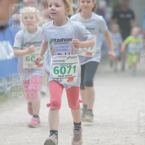 17.05.2025 - Störlauf H.Heesch http://msf.ph/oto/7895752 17.05.2025 13:17:34 Ziel 60, 2025, 6071 meine-sportfotos.de