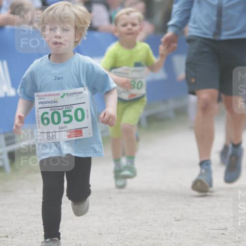 17.05.2025 - Störlauf H.Heesch http://msf.ph/oto/7895780 17.05.2025 13:17:39 Ziel 80, 2025, 6050 meine-sportfotos.de