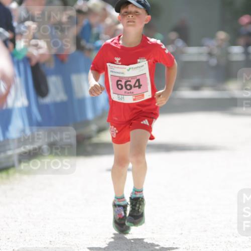 17.05.2025 - Störlauf H.Heesch http://msf.ph/oto/7895881 17.05.2025 13:57:49 Ziel 2025, 664 meine-sportfotos.de