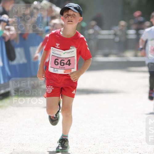 17.05.2025 - Störlauf H.Heesch http://msf.ph/oto/7895892 17.05.2025 13:57:49 Ziel 2025, 664, 40 meine-sportfotos.de