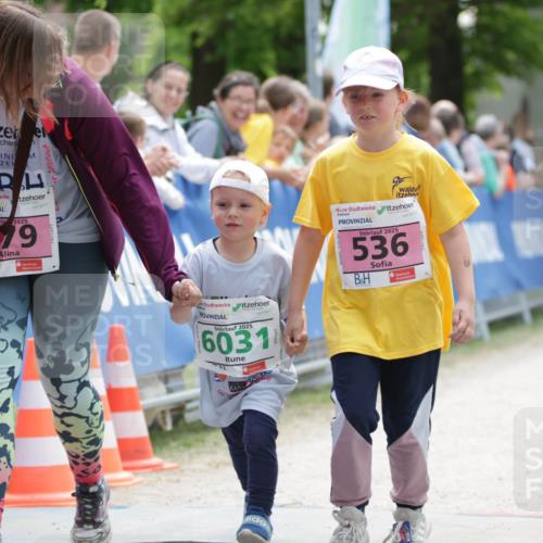 17.05.2025 - Störlauf H.Heesch http://msf.ph/oto/7895899 17.05.2025 13:18:59 Ziel 2025, 179, 2025, 6031, 2025, 536 meine-sportfotos.de