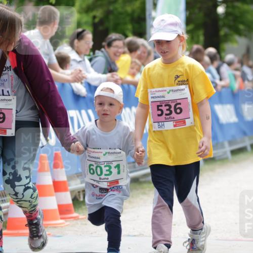 17.05.2025 - Störlauf H.Heesch http://msf.ph/oto/7895903 17.05.2025 13:18:59 Ziel 2025, 79, 2025, 536, 2025, 6031 meine-sportfotos.de