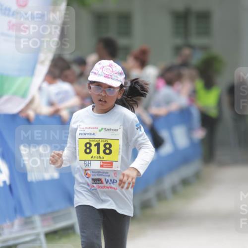 17.05.2025 - Störlauf H.Heesch http://msf.ph/oto/7895922 17.05.2025 14:18:37 Ziel 2025, 818, 35 meine-sportfotos.de