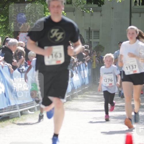 17.05.2025 - Störlauf H.Heesch http://msf.ph/oto/7895934 17.05.2025 14:49:00 Ziel 911, 1763, 1276, 1137 meine-sportfotos.de