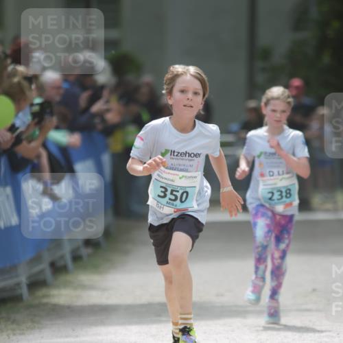 17.05.2025 - Störlauf H.Heesch http://msf.ph/oto/7895946 17.05.2025 13:39:35 Ziel 2025, 350, 238 meine-sportfotos.de