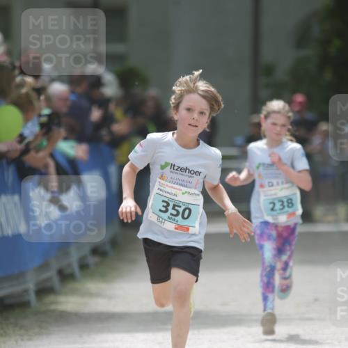 17.05.2025 - Störlauf H.Heesch http://msf.ph/oto/7895948 17.05.2025 13:39:35 Ziel 645, 2025, 350, 238 meine-sportfotos.de