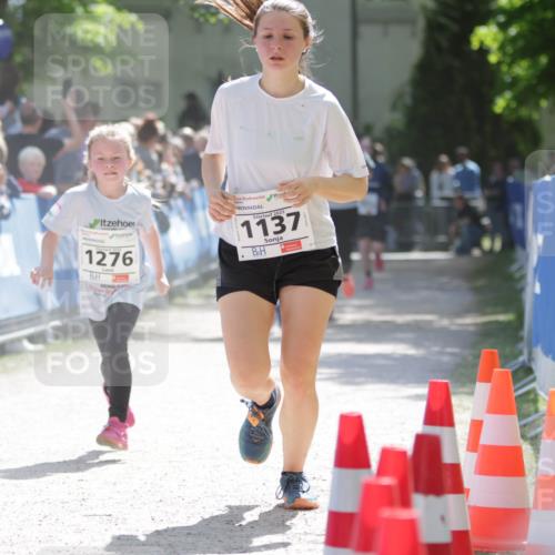 17.05.2025 - Störlauf H.Heesch http://msf.ph/oto/7895950 17.05.2025 14:49:02 Ziel 1276, 2025, 1137 meine-sportfotos.de