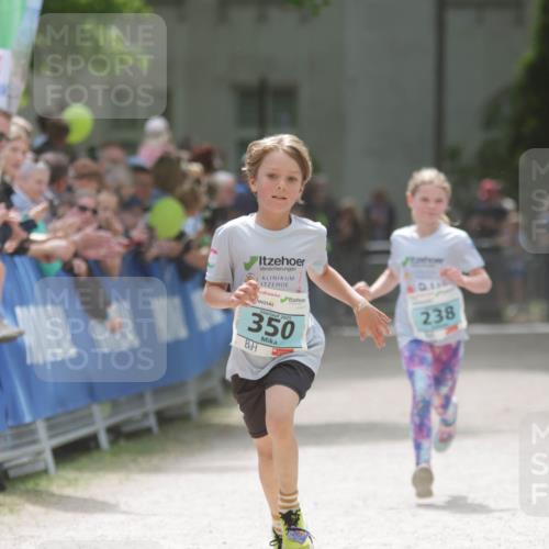 17.05.2025 - Störlauf H.Heesch http://msf.ph/oto/7895962 17.05.2025 13:39:36 Ziel 2025, 350, 238 meine-sportfotos.de