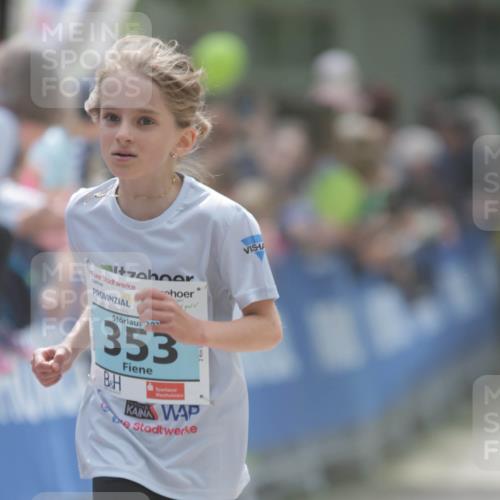 17.05.2025 - Störlauf H.Heesch http://msf.ph/oto/7896116 17.05.2025 13:40:07 Ziel 203, 353 meine-sportfotos.de
