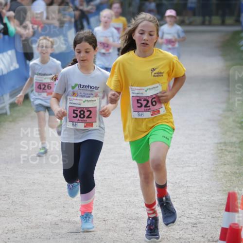 17.05.2025 - Störlauf H.Heesch http://msf.ph/oto/7896128 17.05.2025 13:59:03 Ziel 2025, 00, 426, 2025, 582, 2025, 526 meine-sportfotos.de