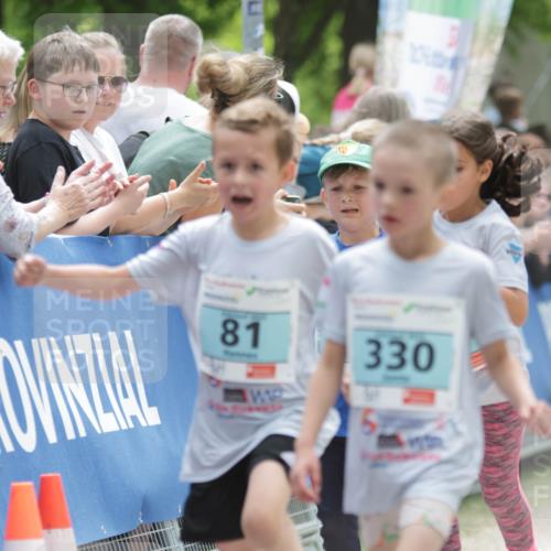 17.05.2025 - Störlauf H.Heesch http://msf.ph/oto/7896154 17.05.2025 13:40:25 Ziel 81, 330 meine-sportfotos.de