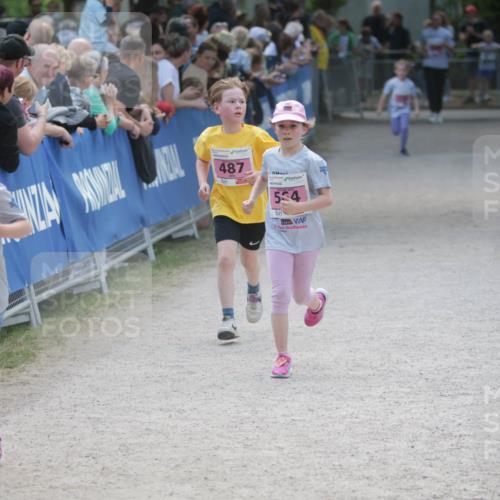 17.05.2025 - Störlauf H.Heesch http://msf.ph/oto/7896160 17.05.2025 13:59:06 Ziel 1992, 552, 487, 534 meine-sportfotos.de