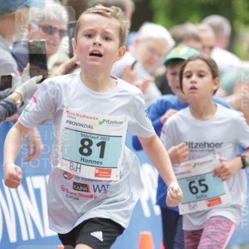 17.05.2025 - Störlauf H.Heesch http://msf.ph/oto/7896164 17.05.2025 13:40:25 Ziel 2025, 81, 65 meine-sportfotos.de