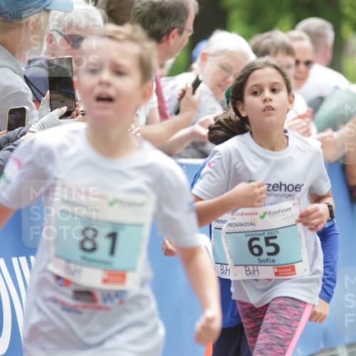 17.05.2025 - Störlauf H.Heesch http://msf.ph/oto/7896167 17.05.2025 13:40:26 Ziel 81, 2025, 65 meine-sportfotos.de