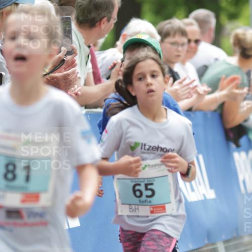 17.05.2025 - Störlauf H.Heesch http://msf.ph/oto/7896170 17.05.2025 13:40:26 Ziel 81, 2025, 65 meine-sportfotos.de