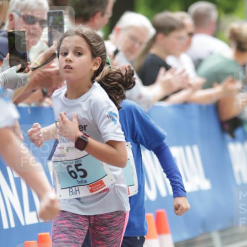 17.05.2025 - Störlauf H.Heesch http://msf.ph/oto/7896173 17.05.2025 13:40:26 Ziel 2025, 65 meine-sportfotos.de