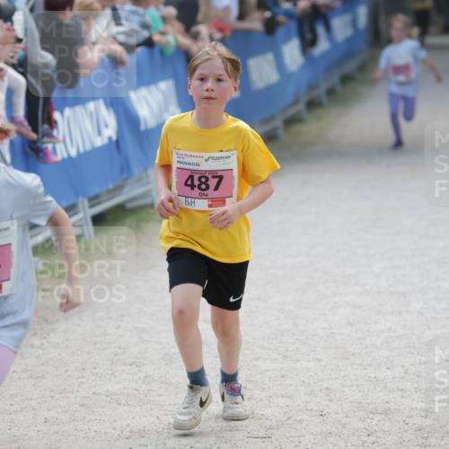 17.05.2025 - Störlauf H.Heesch http://msf.ph/oto/7896217 17.05.2025 13:59:08 Ziel 202, 564, 2025, 487 meine-sportfotos.de