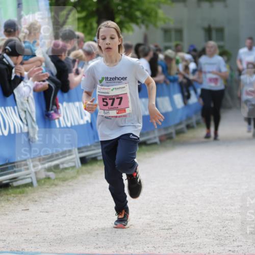 17.05.2025 - Störlauf H.Heesch http://msf.ph/oto/7896250 17.05.2025 13:59:30 Ziel 2025, 577 meine-sportfotos.de
