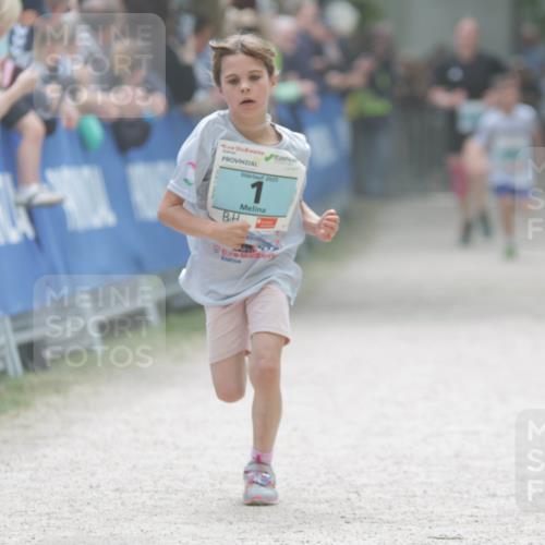 17.05.2025 - Störlauf H.Heesch http://msf.ph/oto/7896265 17.05.2025 13:40:43 Ziel 2025 meine-sportfotos.de