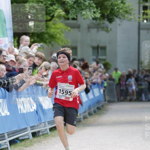 17.05.2025 - Störlauf H.Heesch http://msf.ph/oto/7896381 17.05.2025 14:37:33 Ziel 1595 meine-sportfotos.de