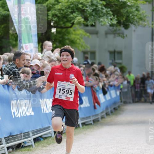 17.05.2025 - Störlauf H.Heesch http://msf.ph/oto/7896391 17.05.2025 14:37:34 Ziel 1595 meine-sportfotos.de