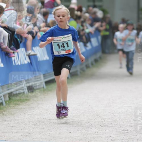 17.05.2025 - Störlauf H.Heesch http://msf.ph/oto/7896395 17.05.2025 13:40:58 Ziel 2025, 141 meine-sportfotos.de