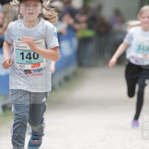 17.05.2025 - Störlauf H.Heesch http://msf.ph/oto/7896421 17.05.2025 13:41:03 Ziel 20, 140, 348 meine-sportfotos.de