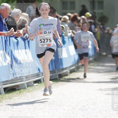 17.05.2025 - Störlauf H.Heesch http://msf.ph/oto/7896442 17.05.2025 14:50:29 Ziel 5275, 1313 meine-sportfotos.de