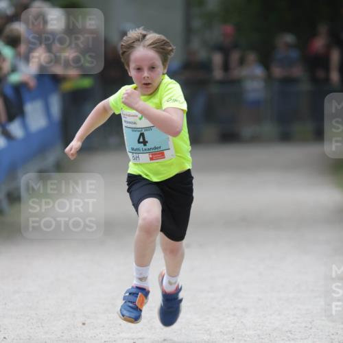 17.05.2025 - Störlauf H.Heesch http://msf.ph/oto/7896481 17.05.2025 13:41:16 Ziel 2025, 4 meine-sportfotos.de