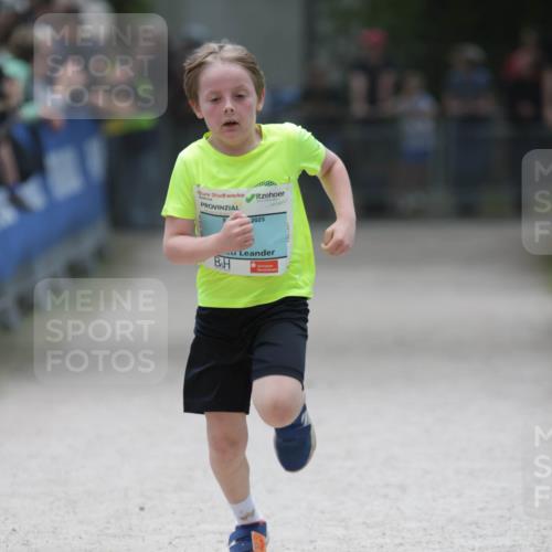 17.05.2025 - Störlauf H.Heesch http://msf.ph/oto/7896487 17.05.2025 13:41:16 Ziel 2025 meine-sportfotos.de