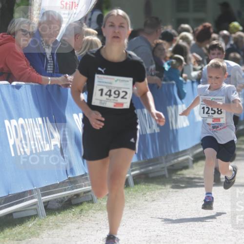 17.05.2025 - Störlauf H.Heesch http://msf.ph/oto/7896554 17.05.2025 14:50:48 Ziel 1492, 1258 meine-sportfotos.de