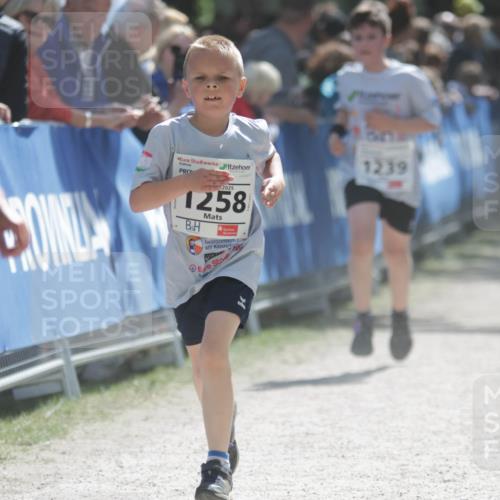 17.05.2025 - Störlauf H.Heesch http://msf.ph/oto/7896562 17.05.2025 14:50:49 Ziel 2025, 1258, 1239 meine-sportfotos.de