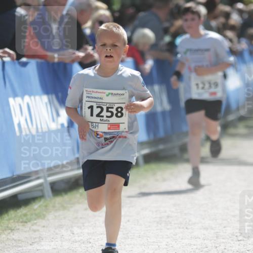 17.05.2025 - Störlauf H.Heesch http://msf.ph/oto/7896565 17.05.2025 14:50:49 Ziel 2025, 1258, 1239 meine-sportfotos.de