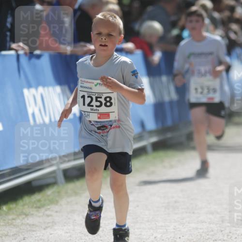 17.05.2025 - Störlauf H.Heesch http://msf.ph/oto/7896567 17.05.2025 14:50:49 Ziel 2025, 1258, 755, 1239 meine-sportfotos.de