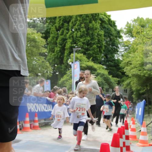 17.05.2025 - Störlauf H.Heesch http://msf.ph/oto/7897068 17.05.2025 13:02:43 Ziel 055, 7259 meine-sportfotos.de