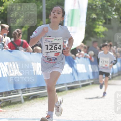 17.05.2025 - Störlauf H.Heesch http://msf.ph/oto/7897080 17.05.2025 14:52:18 Ziel 2025, 1264, 1270 meine-sportfotos.de