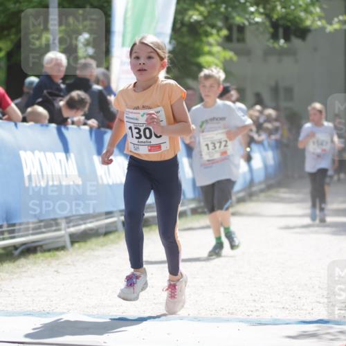 17.05.2025 - Störlauf H.Heesch http://msf.ph/oto/7897109 17.05.2025 14:52:21 Ziel 20, 130, 1372, 1547 meine-sportfotos.de