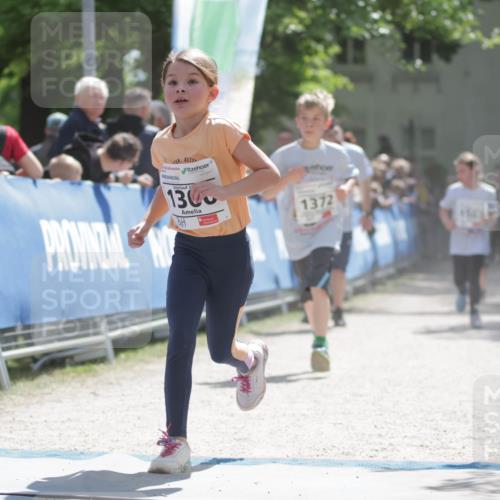 17.05.2025 - Störlauf H.Heesch http://msf.ph/oto/7897112 17.05.2025 14:52:21 Ziel 130, 1372 meine-sportfotos.de