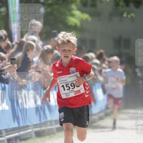 17.05.2025 - Störlauf H.Heesch http://msf.ph/oto/7897490 17.05.2025 14:41:32 Ziel 2025, 159 meine-sportfotos.de