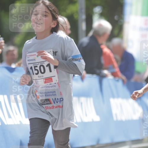 17.05.2025 - Störlauf H.Heesch http://msf.ph/oto/7897492 17.05.2025 14:53:34 Ziel 2025, 1501 meine-sportfotos.de