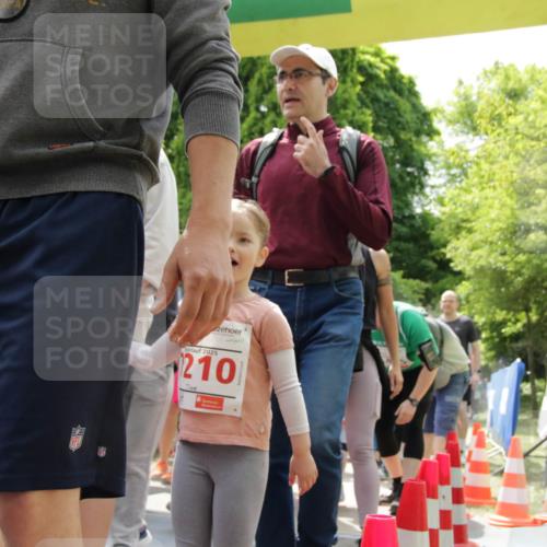 17.05.2025 - Störlauf H.Heesch http://msf.ph/oto/7897643 17.05.2025 13:03:42 Ziel 1210 meine-sportfotos.de