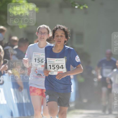 17.05.2025 - Störlauf H.Heesch http://msf.ph/oto/7897835 17.05.2025 14:42:36 Ziel 1561, 2025, 1594 meine-sportfotos.de