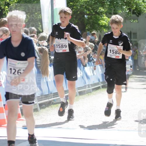17.05.2025 - Störlauf H.Heesch http://msf.ph/oto/7898067 17.05.2025 14:43:12 Ziel 178, 126, 1589, 1588, 31, 1248 meine-sportfotos.de